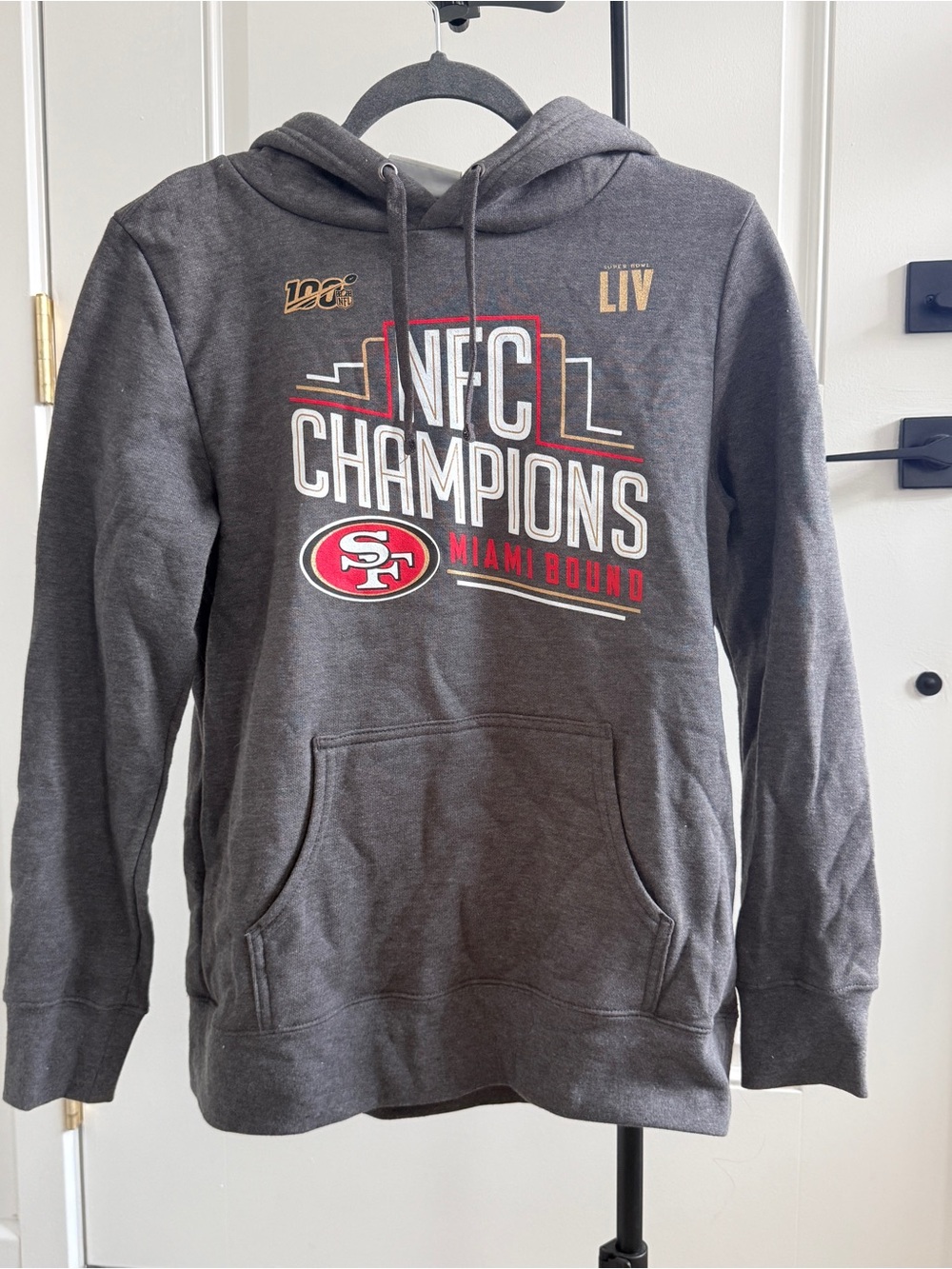 Fanatics Gray San Francisco 49ers NFC Champions Hoodie